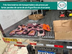 Leia mais sobre o artigo Três funcionários de transportadora são presos por  furtar pacotes de carne de um frigorífico em Araruama