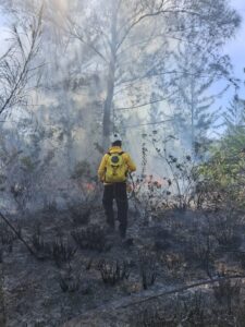 Leia mais sobre o artigo Incêndio destrói 20 mil metros quadrados de vegetação em Monte Alto