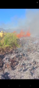 Leia mais sobre o artigo Incêndio atinge cerca de 6 hectares de mata em Arraial do Cabo